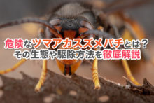 蜂よけに木酢液が効果あり 活用方法や使用時の注意点とは 蜂の巣駆除センター