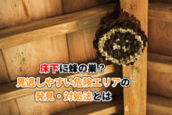 高い所の蜂の巣はどう対処する?軒下・屋根裏など場所別のリスクと駆除方法