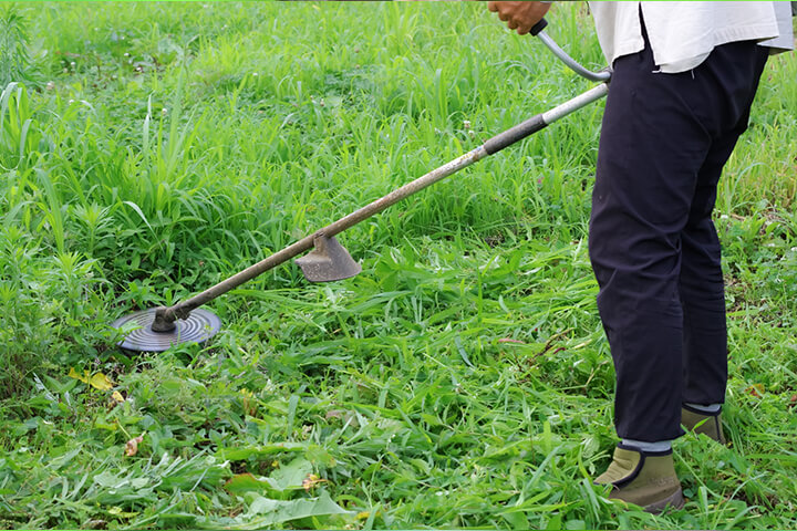 草刈りや庭木の伐採中にできる蜂よけ対策