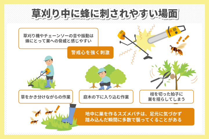草刈り中に刺されやすい場面とは