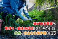 蜂が出る季節の草刈り・庭木の伐採は注意が必要！対策と安全な作業手順を解説