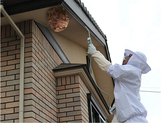 蜂退治・蜂の巣駆除作業